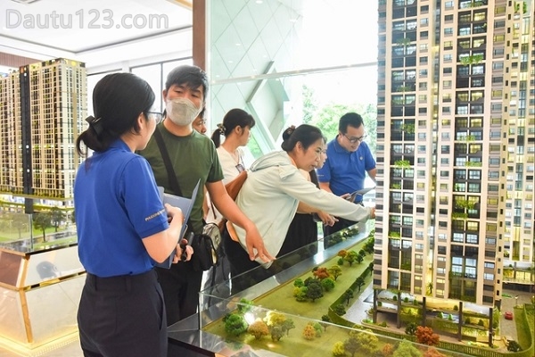Chung cư là gì? Có nên mua chung cư thời điểm này?