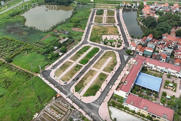 So sánh đầu tư căn hộ và đất nền - Nên chọn hình thức nào?